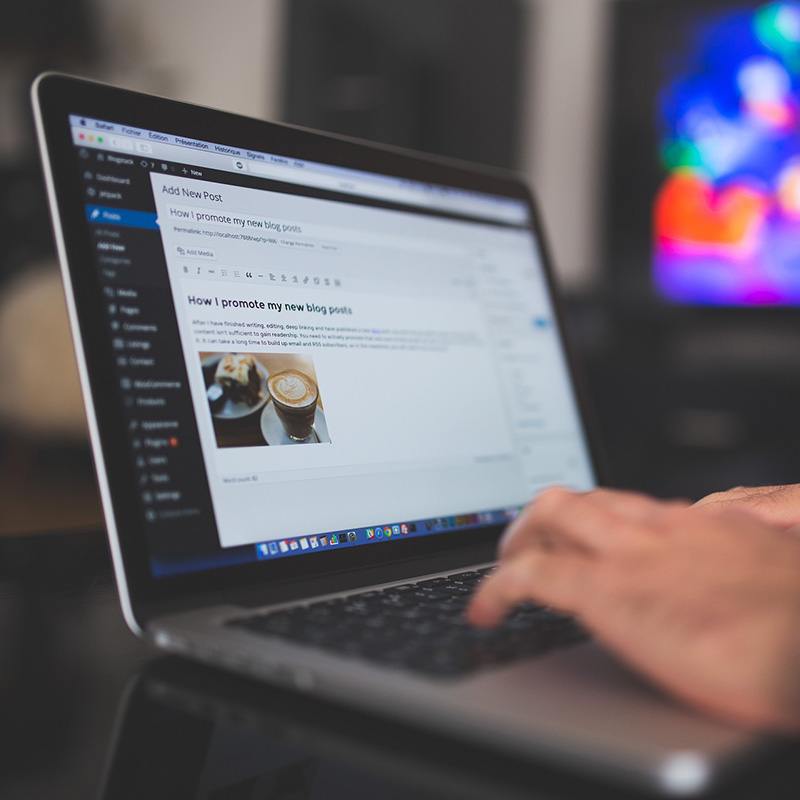 WordPress Website Content Updates