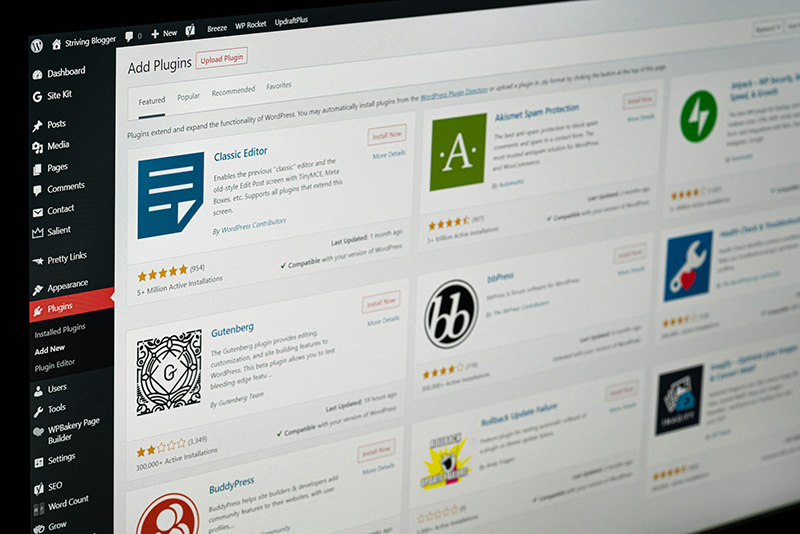 WordPress Website Updates